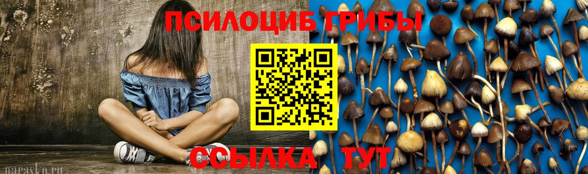 Галлюциногенные грибы прущие грибы  Галлюциногенные грибы ЛСД  Саяногорск  купить   Вход с VPN 